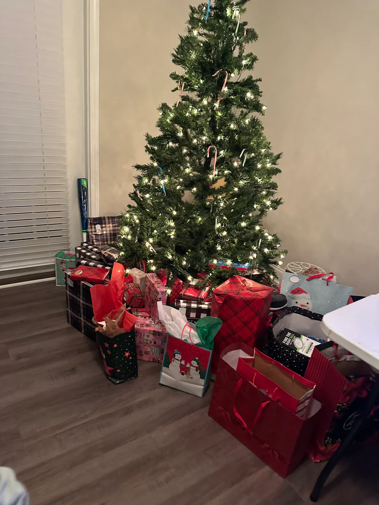 Christmas Giving